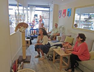 Totnes Cats Cafe