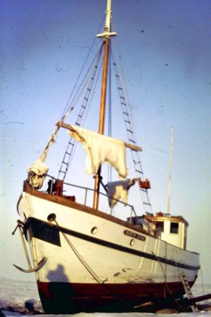 North Star in the ice floes