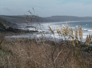 The treacherous Whitsand Bay from Portwrinkle to Rame Head